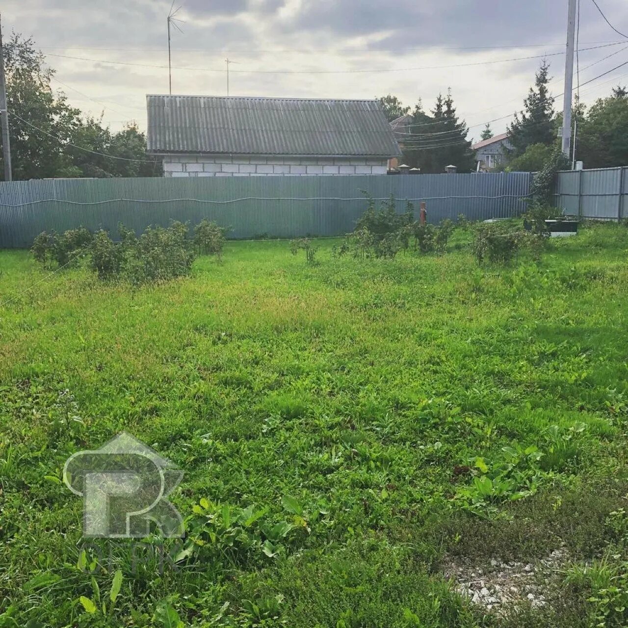 Белеутово московская область. Погода в белеутово. Деревня белеутово. Капустное поле деревня белеутово. Деревня белеутово.