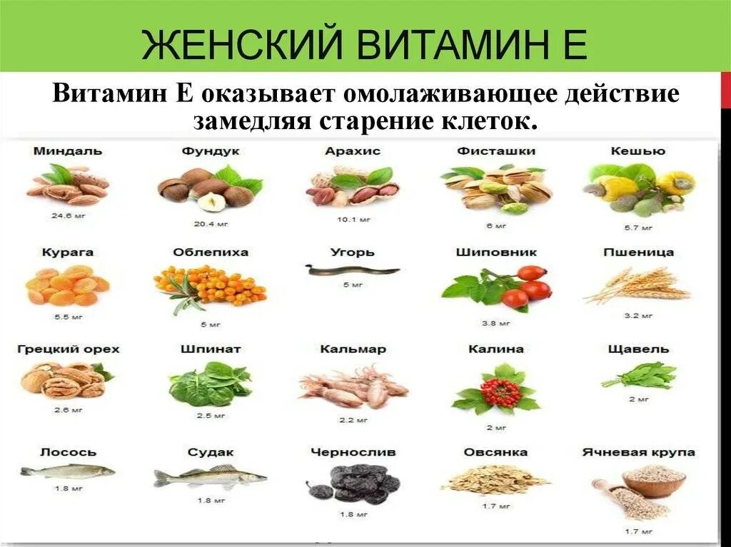 Какие продукты являются источником витамина е. Продукты с высоким содержанием витамина е. Содержание витамина е в продуктах питания таблица. Витамины группы е в продуктах питания таблица. Продукты богатые витамином е таблица.