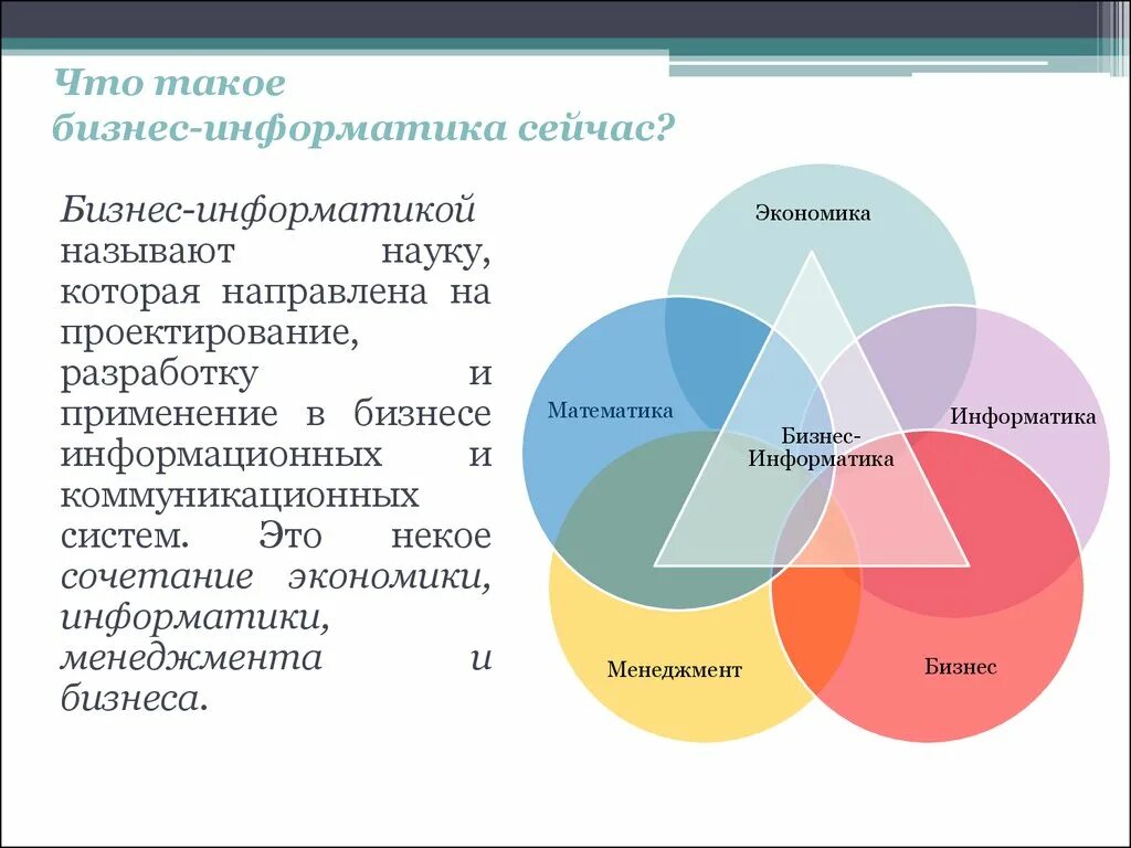 Направление бизнес информатика. Бизнес Информатика. Бизнес-Информатика специальность. Бизнес Информатика профессии.