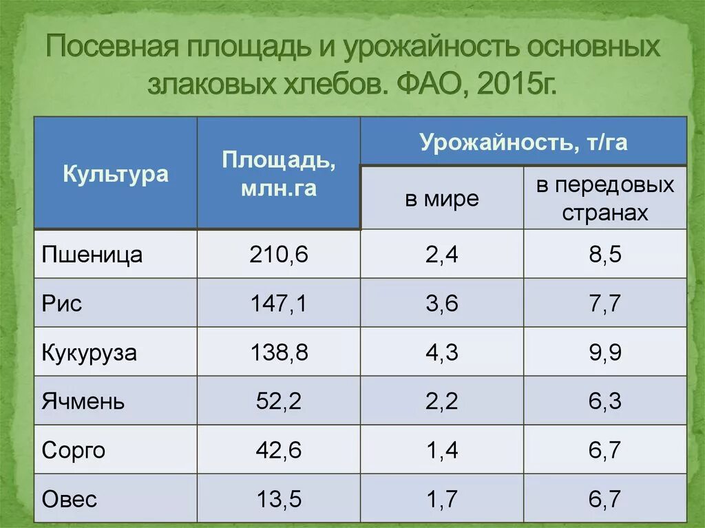 Урожайность зерновых культур с 1 га. Таблица урожайности зерновых культур. Урожайность зерновых культур в мире. Урожайность злаковых. Вычислите средние урожайности зерновых