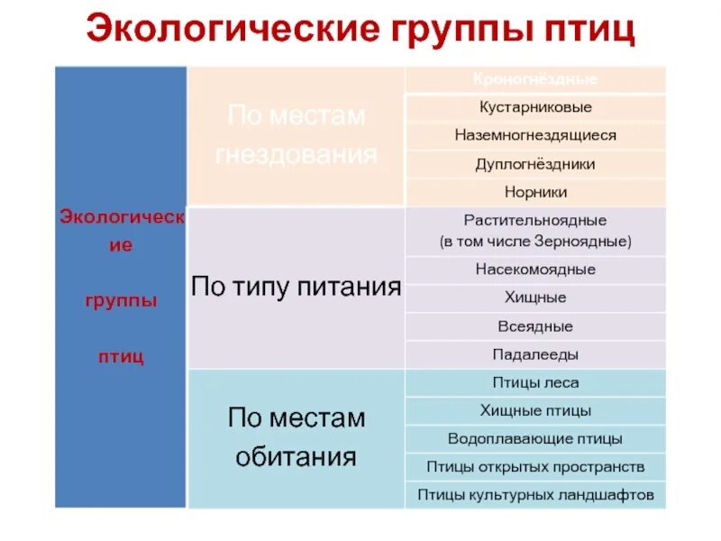 Какие экологические группы существуют