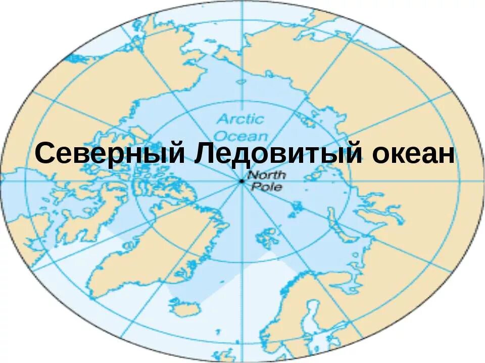 Северный Ледовитый океан на карте. Северный Ледовитый океан на глобусе. Карта Северо Ледовитого океана. Северо Ледовитый океан на глобусе. Экватор северно ледовитый океан