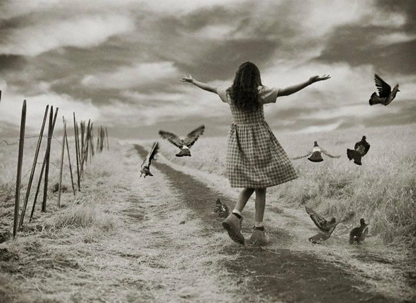 Человек по настоящему счастлив. Убегать от счастье. Девушка бежит за птицами. Странное счастье. Девушка свободна.