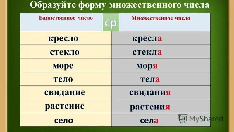 Зелень число единственное или. Формы единственного и множественного числа. Единственное или множественное число. Слова в единственном и множественном. Единственное число и множественное число.