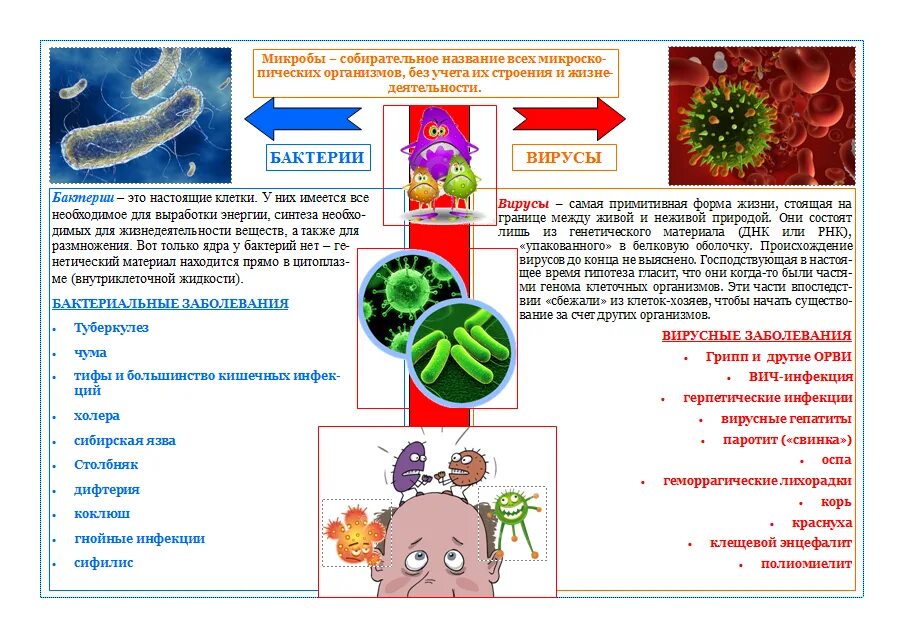 Тема бактерии и вирусы 5 класс. Отличия ВИРУСОВТОТ бактерий. Чем вирусы отличаются от бактерий микробиология. Различия между вирусами и бактериями вирусы бактерии. Отличие вирусов от бактерий кратко.