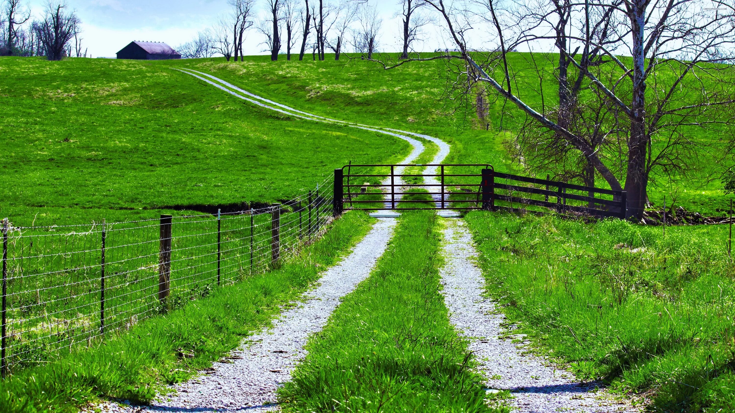 Bo path