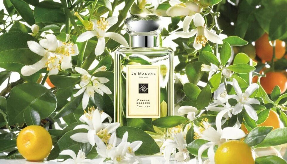 Одеколон Jo Malone Orange Blossom. Jo Malone духи Cologne. Джо Малон Лондон духи женские. Джо Малон духи цитрус.