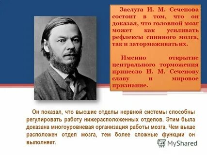 Вклад ученых в нервную деятельность
