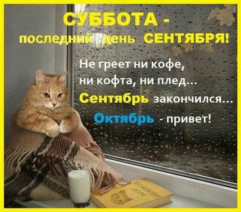 Доброе утро последняя суббота. Открытка хорошей субботы. Поздравление с субботой. Поздравление с субботой в картинках. С субботой прикольные пожелания.