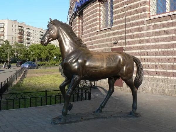 конь в осинниках. лошади в черте города ярославле. конь в воронеже памятник с яйцами. конь в осинниках. денник для лошади.