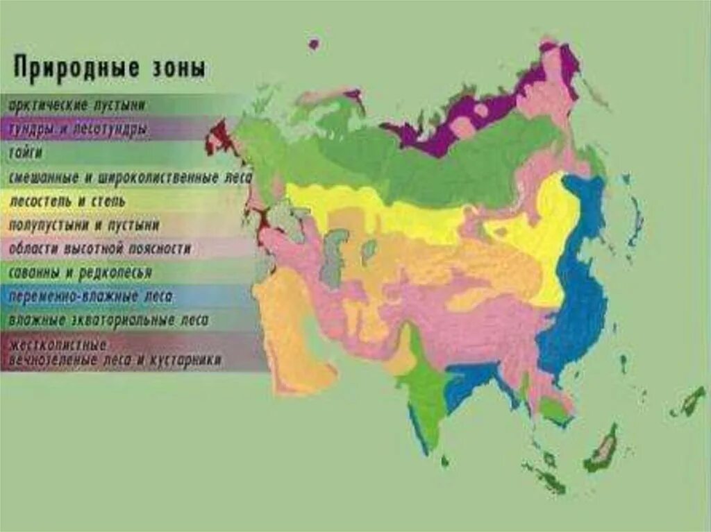 География природные зоны евразии. Природные зоны материка Евразия. Климат природных зон Евразии 7 класс. Природные зоны Евразии степь на карте. Карта природных зон зон Евразии.