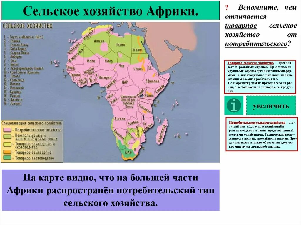 Районы товарного сельского хозяйства Африки. Структура сельского хозяйства Африки. Отрасли сельского хозяйства Северной Африки. Специализация хозяйства Африки.