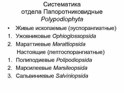Систематика отдела