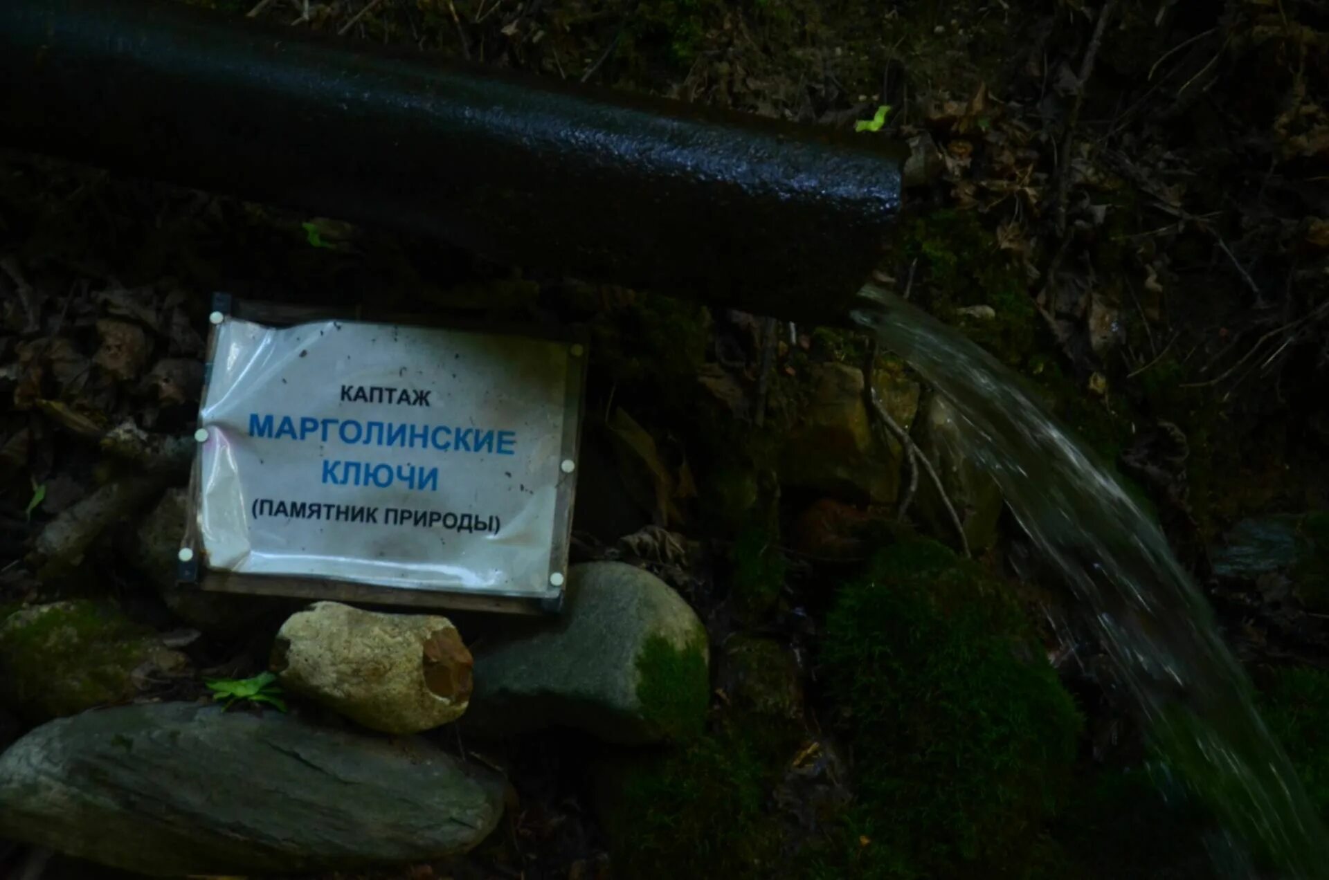 Родник смоленск. Марголинские ключи Смоленск. Марголинский Родник Смоленск. Памятник природы в Дугинском парке. Найдены ключи Смоленск.