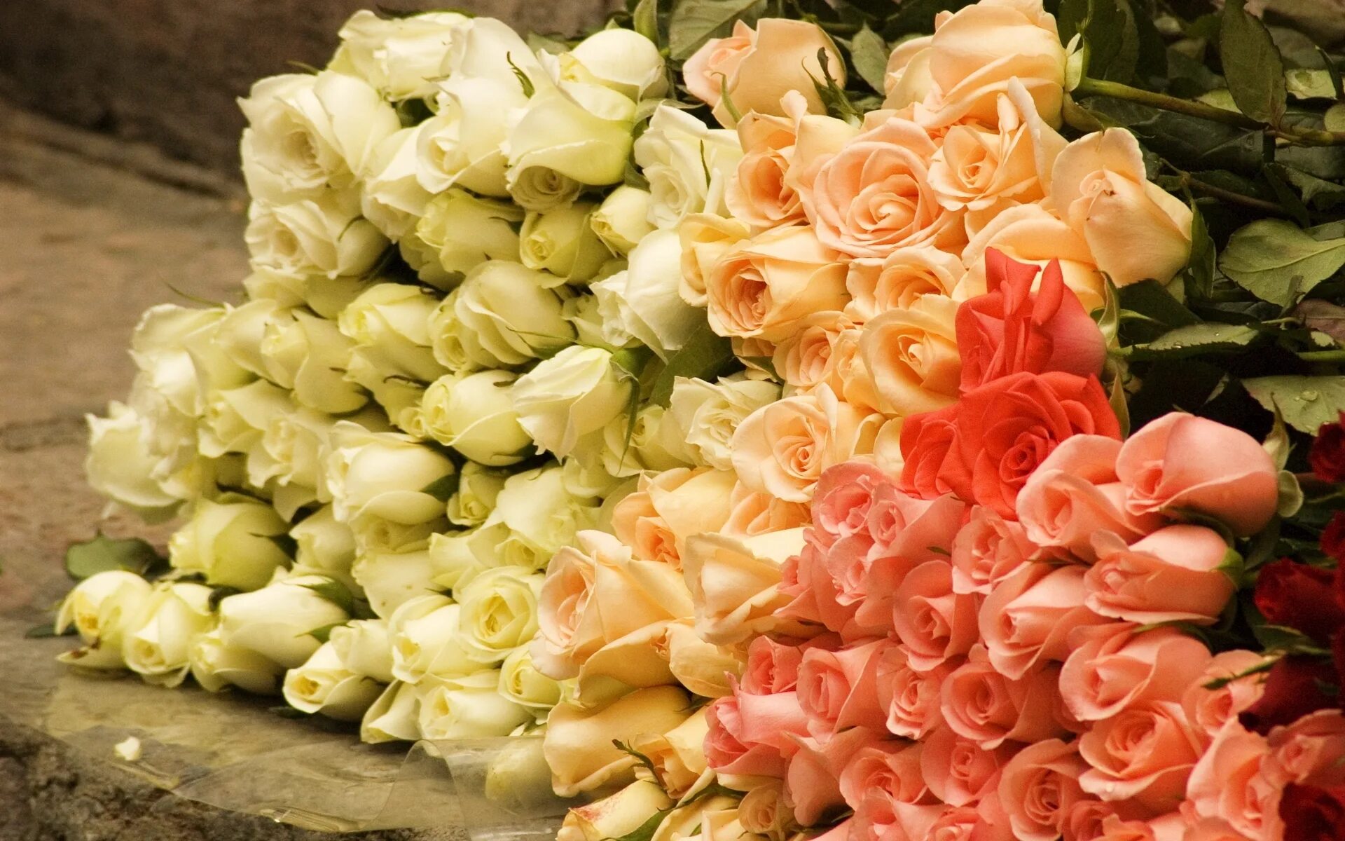 Цветы картинки. Красивый букет. Роскошные цветы. Букет роз. Шикарные цветы.