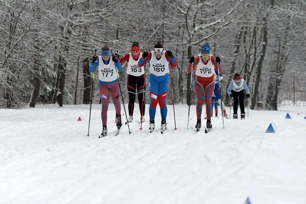 январская лыжня. черноголовка лыжная трасса. лыжные трассы в черноголовке. черноголовская лыжня 2024. черноголовская лыжня 2024.