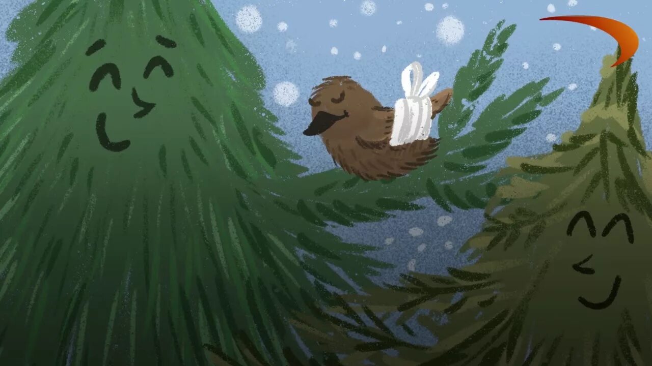 Сказочная шишка. Сплетенная ель и сосна из сказки-были. Чувашская сказка зеленые елка с сосной. Коми народные сказки коми книжное издательство. Иллюстрация о ели и сосне.