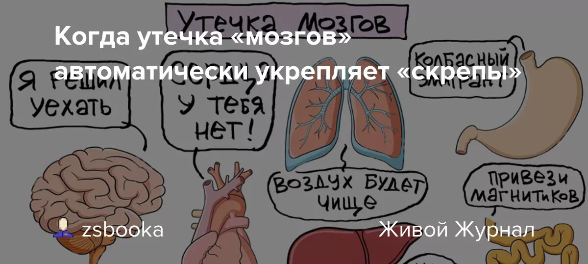 Мозгов тоже. Утечка мозгов. Миграция утечка мозгов. Утечка мозгов из России. Утечка мозгов картинки.