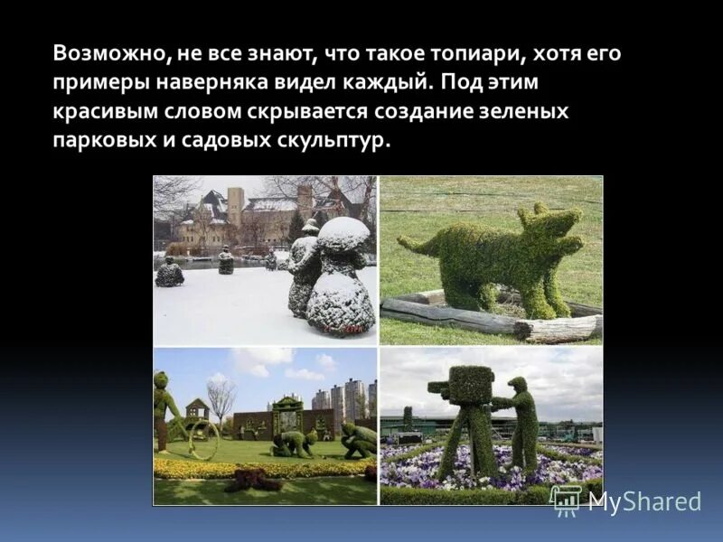 Гринпис это кратко. Красные белые зеленые интервенты таблица. Дата создания зеленых. Зеленое движение в гражданской войне. Дата создания зеленых.