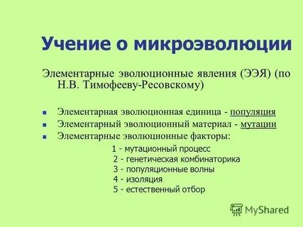 Конспект урока микроэволюция 11 класс биология