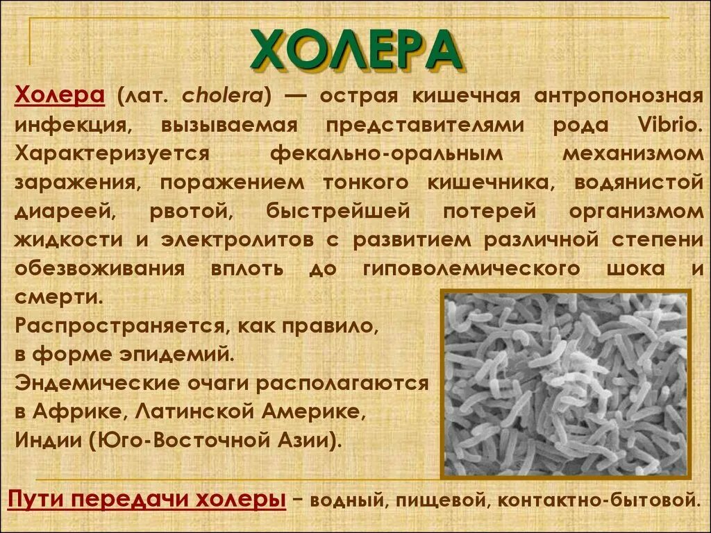 Сообщение о болезни холера. Колер. Характеристика холеры болезни. Примеры холеры