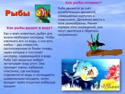 Чему равен объем рыбы плавающей морской воде