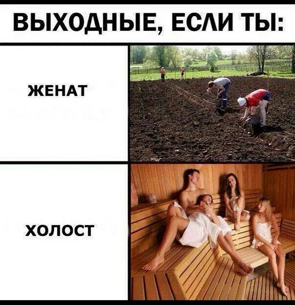 Живу давно меня женить собирались а вашего