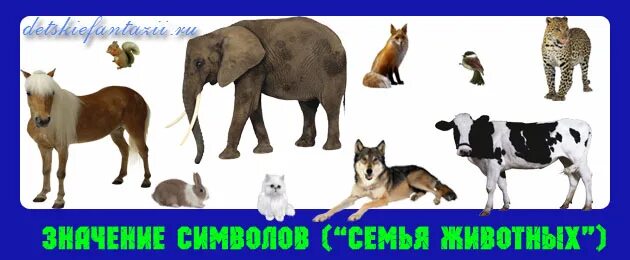 Семья львов. Лион фамили. Пингвины мультяшные. Методике «рисунок семьи животного. Милые иллюстрации семьи.