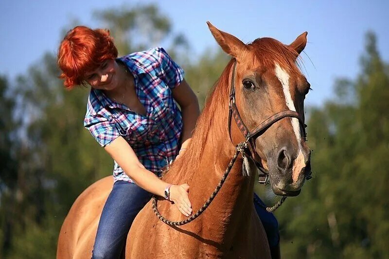 Конный клуб Сенькино Секерино. Сенькино-Секерино мини лошадки.