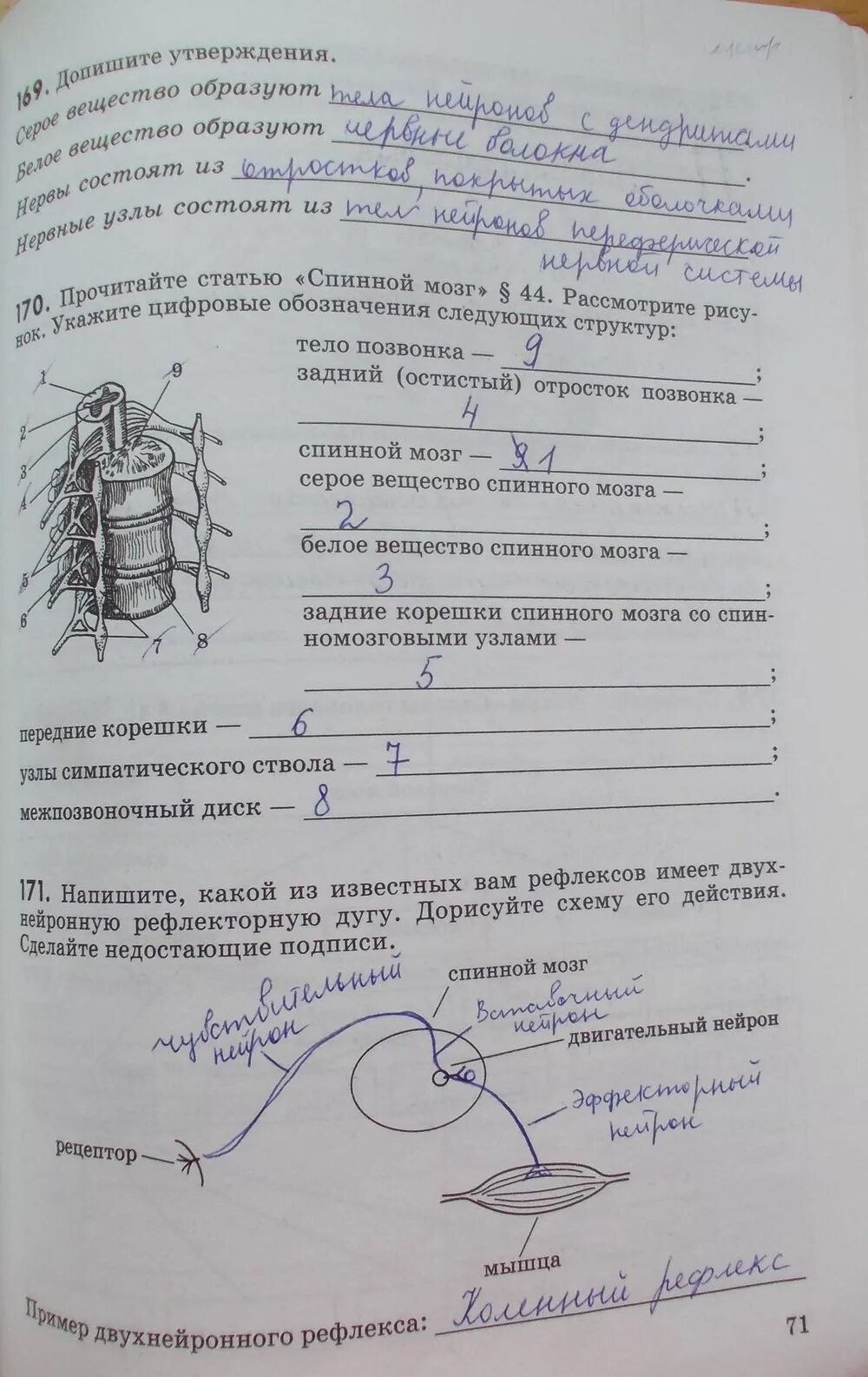 Гдз по биологии 8 класс рабочая тетрадь сонин. Решебник биология рабочая 8 класс. , беляев и. Биология 8 класс драгомилов. Биология 8 класс рабочая тетрадь сонин гдз.