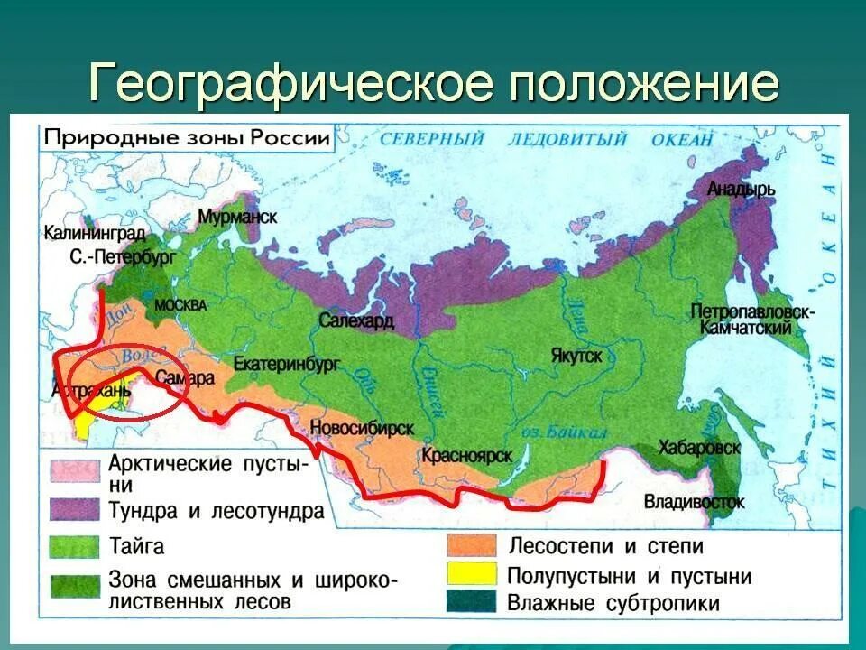 Карта природных зон России субтропики. Природная зона степь географическое положение в России. Зона степей и лесостепей на карте России. Тайга природная зона на карте. Зона северная звезда в россии где