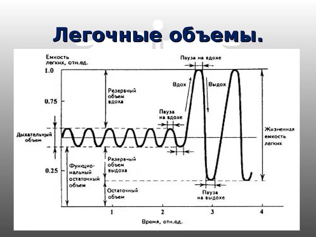 Формула емкости легких. Схема дыхательного объема легких. Дыхательные объемы и емкости легких. Легочные объемы и жизненная емкость легких. Жизненная емкость легких дыхательный объем.