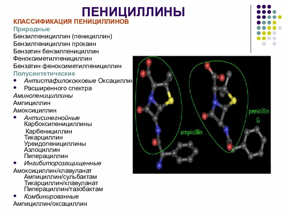 Механизм пенициллинов