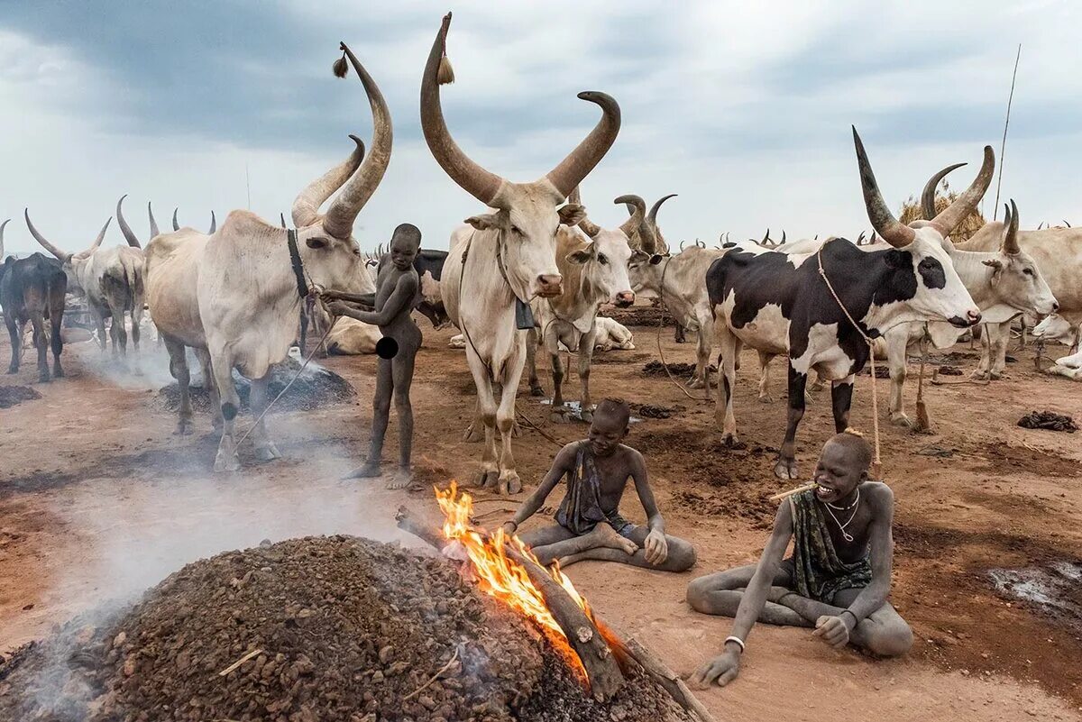 Племя Мундари в Южном Судане. Племя скотоводов Мундари. Южный Судан племя Динка.