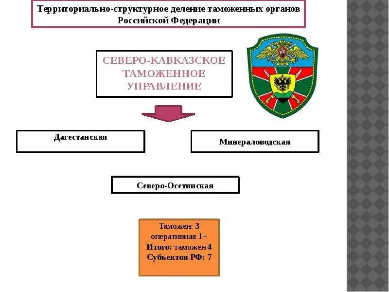 Деятельность таможенных органов рф