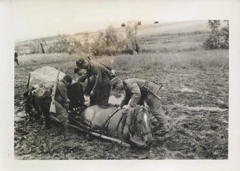 Гужевой транспорт РККА В ВОВ 1941-1945 гг. Бойцы красной армии 1941-1945 в грязи. Лошади в Великой Отечественной войне 1941-1945.