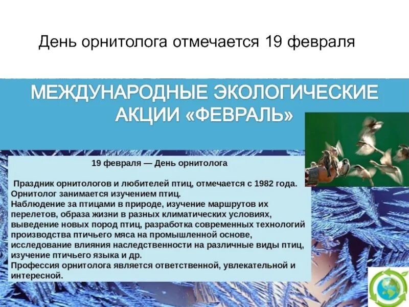 День орнитолога. Орнитолог профессия. 19 Февраля — Всемирный день орнитолога. С днем орнитолога поздравления.