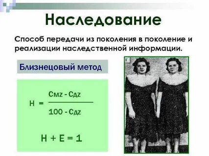 Передача наследственной информации из поколения в поколение