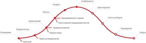 Жизненный цикл компании по адизесу