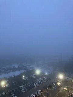 Заметный обычный