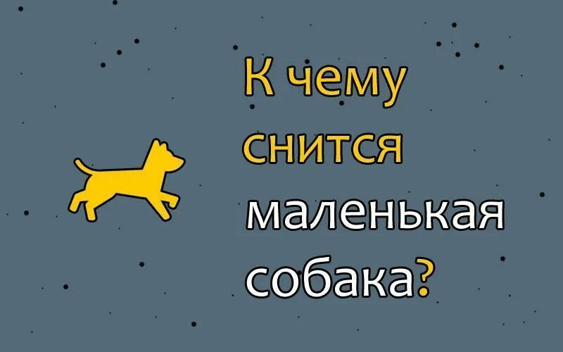 Сон видеть собаку маленькую. Приснилась собака. Приснилась собака к чему. Сонник к чему снится собака. Сонник собачка.