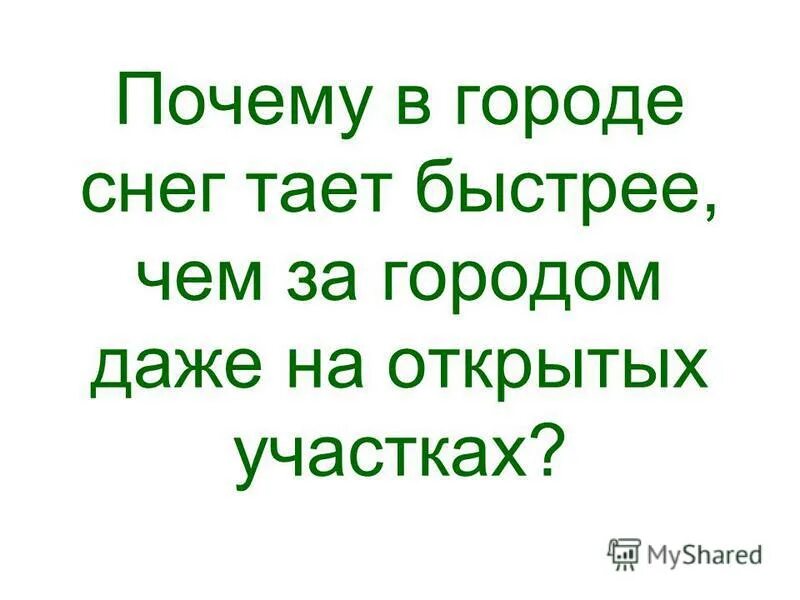 Почему в городе снег тает быстрее. Начало таяния снега в лесу. Почему в городе снег тает быстрее. Чистый снег и грязный снег. Отчего тает снег.