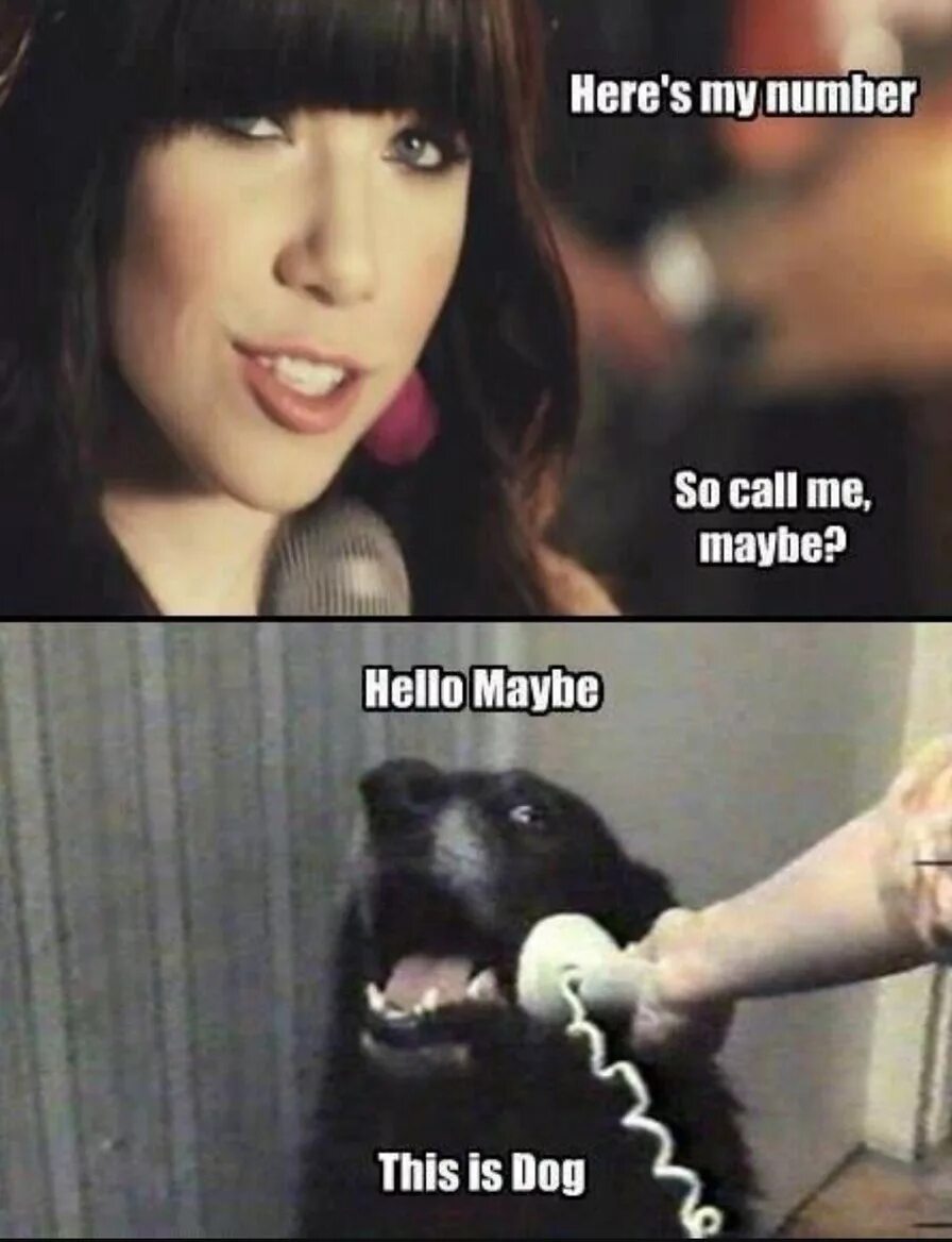 Колл ми. Call me maybe meme. Maybe Мем. Call me maybe Мем. Hello this is Dog.