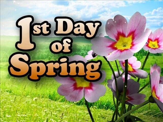 Привет март. The first of march. The 1 st of march ,tuesday. The first of march. Привет март.