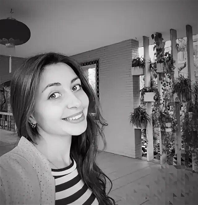 Отремонтированное лобовое стекло. Сколов оренбург. Технология ремонта стекол автомобиля. Сколов оренбург. Сколов оренбург.