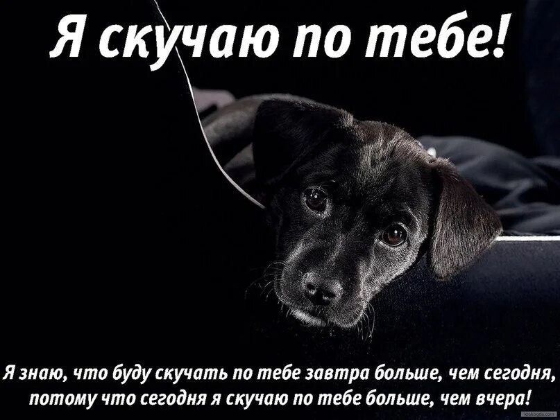 Буду очень скучать по всем