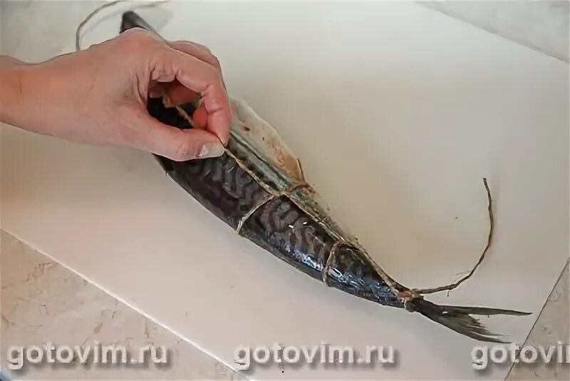 Как обвязать рыбу для копчения шпагатом. Обвязка рыбы для копчения шпагатом. рыба перевязанная шпагатом. обвязать рыбу для горячего копчения. как перевязать скумбрию для копчения.
