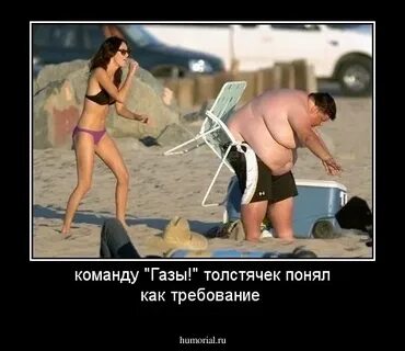 Дам по газам