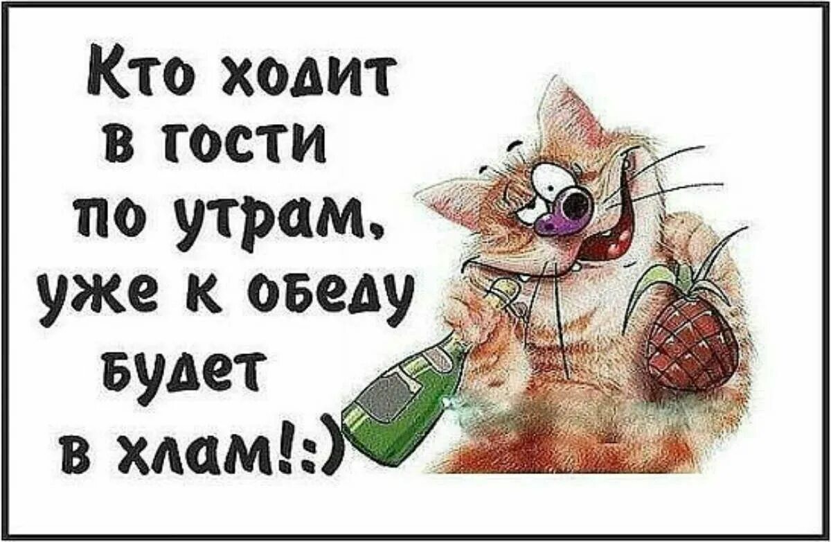 Почему гости не пришла. Кто ходит в гости по утрам. Кто ххолит в гости Поу трам. Кто холит в гости по утрам. Кто ходит в гости по утрам прикол.