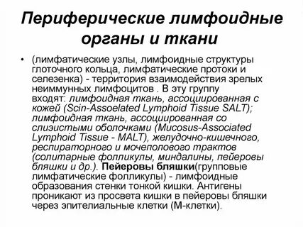 Периферические ткани это